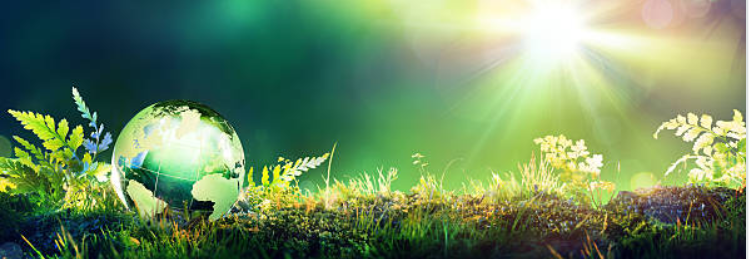 The environmental challenges of the fashion industry